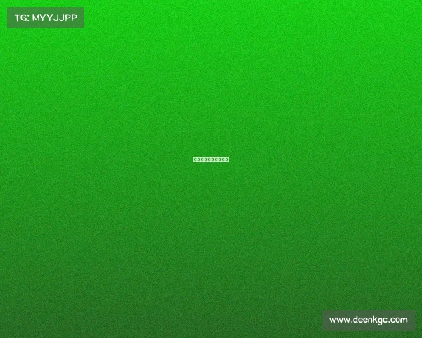 泰拳赛事官方网站入口