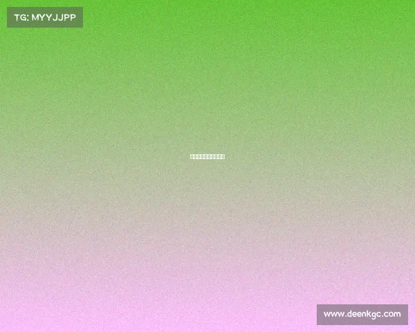 摔跤赛事裁判员碰头会