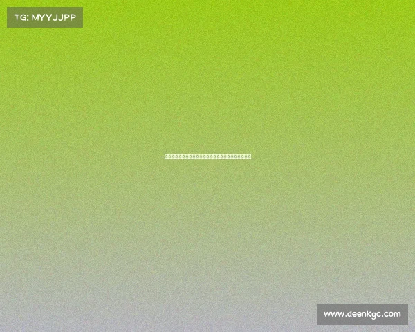 现代汽车驰骋全球赛事巅峰舞台展现速度激情与创新精神